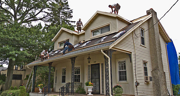 Best Roof Maintenance Services  in Bylas, AZ
