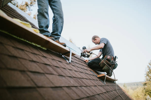 Roof Gutter Cleaning in Bylas, AZ